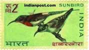 YELLOW BACKED SLATY HEADED SUNBIRD 0581 Indian Post