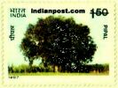 SAL 1272 Indian Post