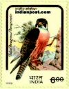 BOSPREY 1526 Indian Post