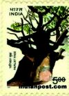 PARIJAT TREE (SE-TENANT) 1705 Indian Post